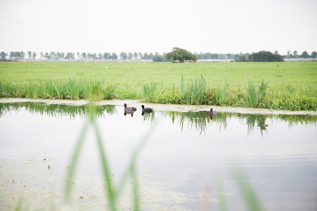 Apartmán Het Stalhuys Reeuwijk Exteriér fotografie