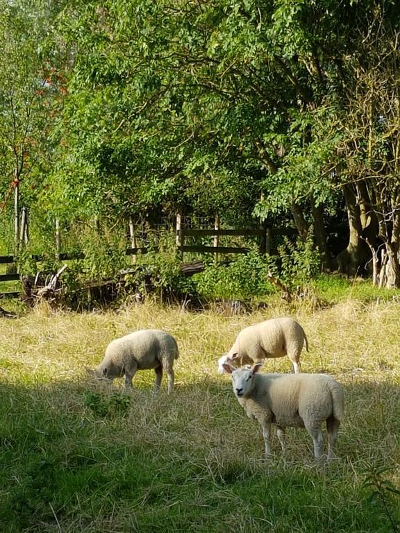 Apartmán Het Stalhuys Reeuwijk Exteriér fotografie